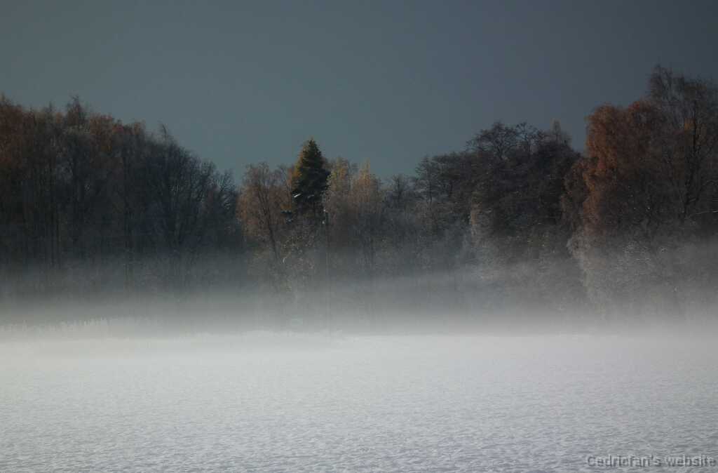DSCF0338