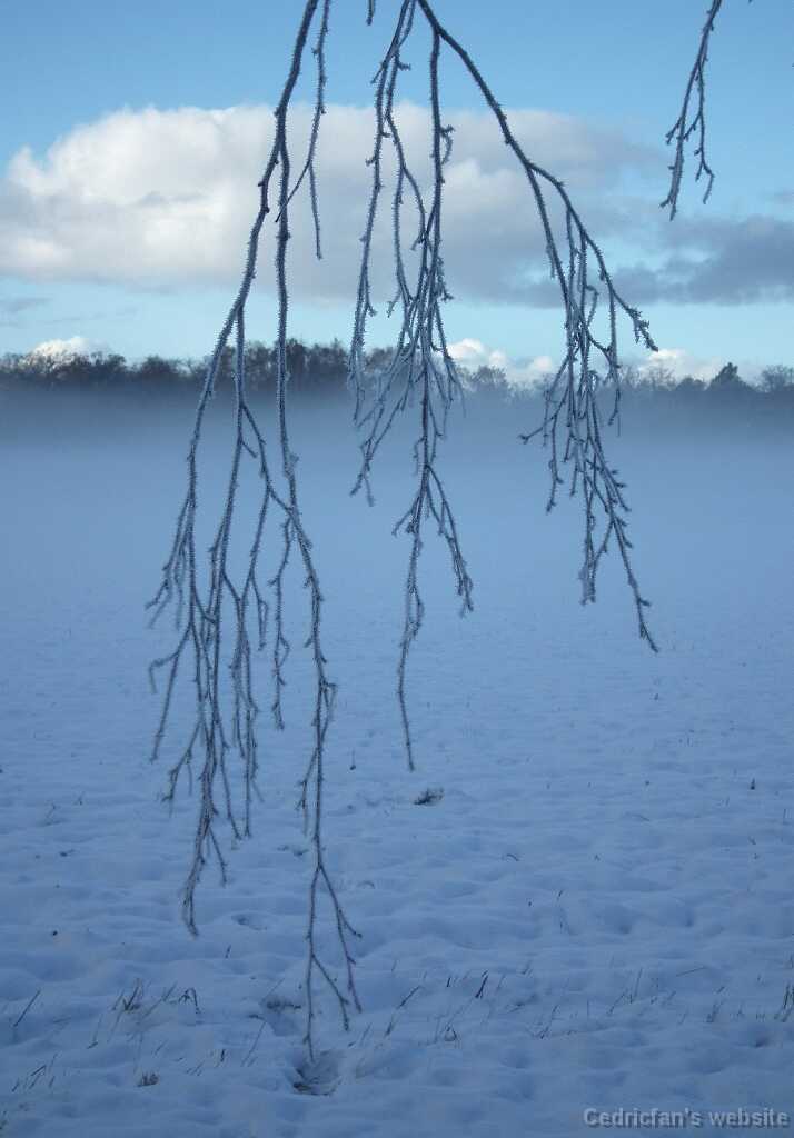 DSCF0350