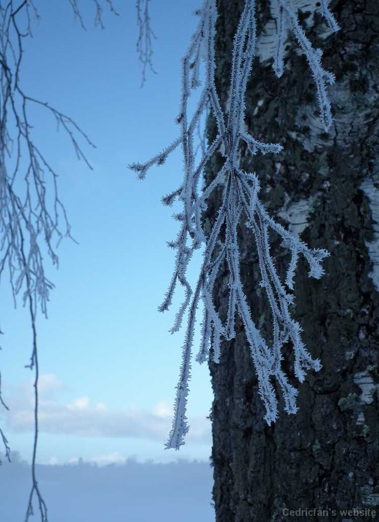 DSCF0353