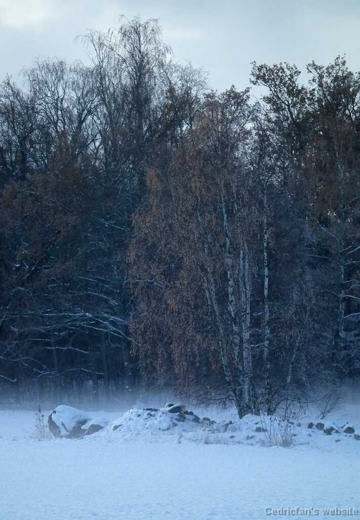 DSCF0365