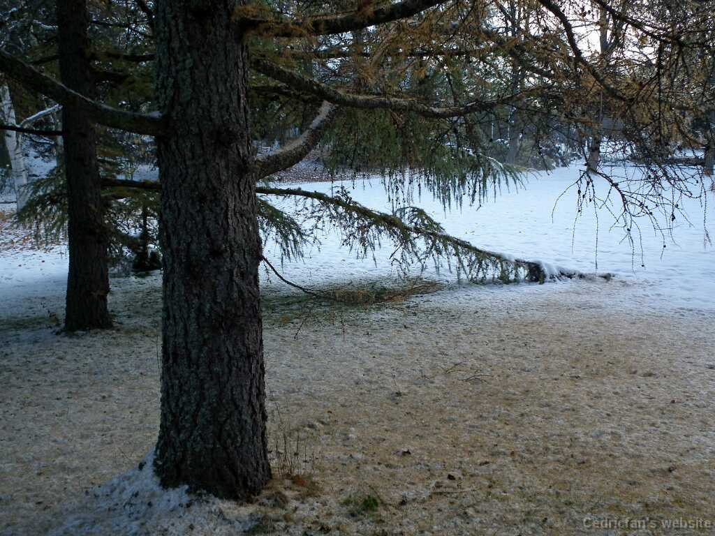 DSCF0371