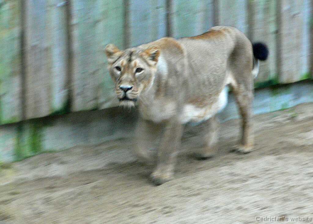 P1010351
