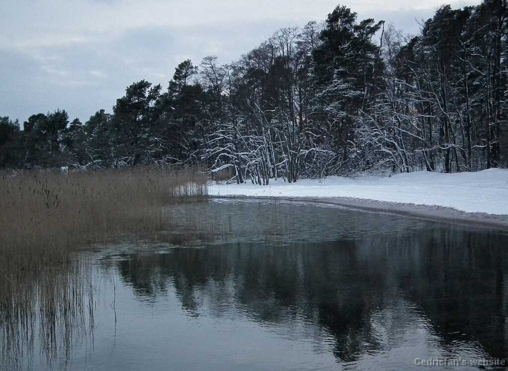 DSCF0431