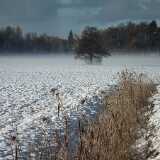 12 10 Ruissalo winter arrives