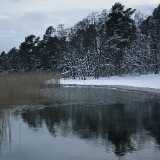 12 12 Winter scenes