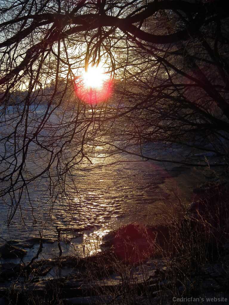 DSCF0460