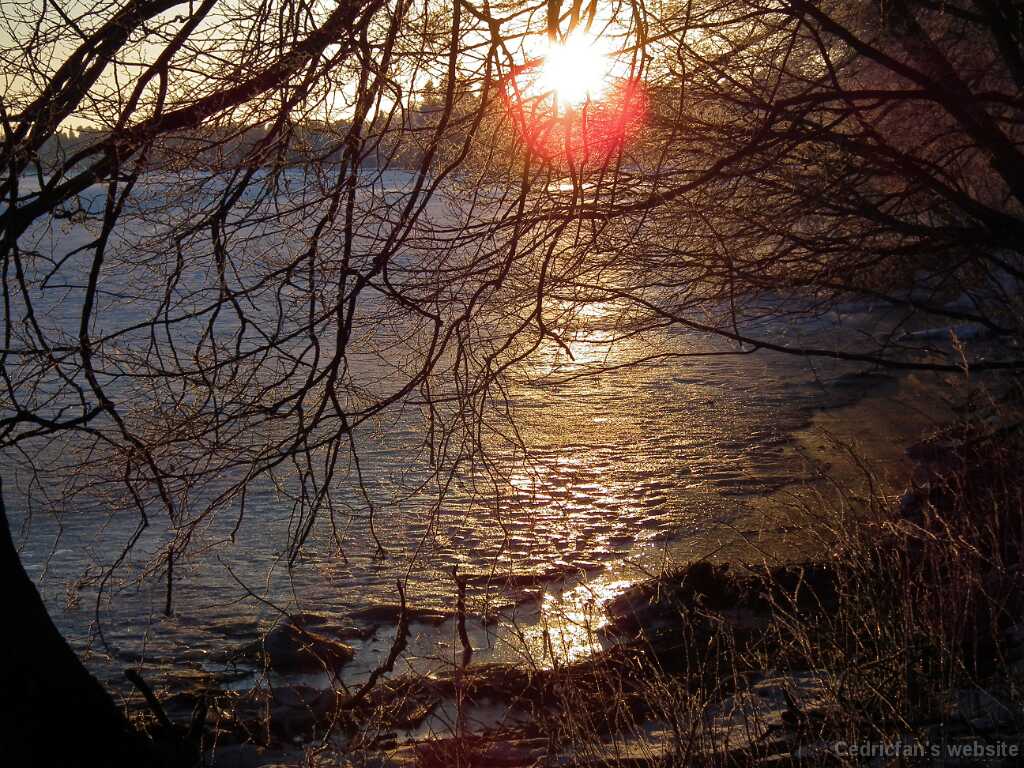 DSCF0461