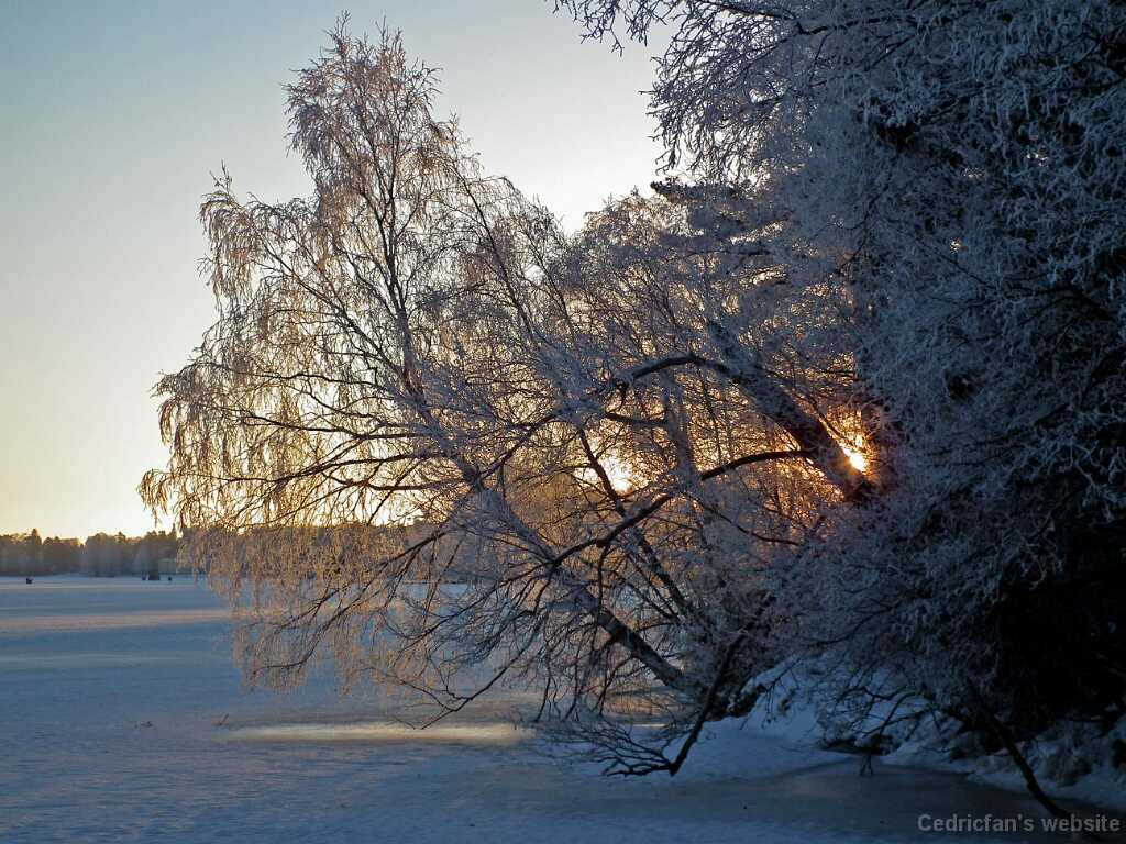 DSCF0462