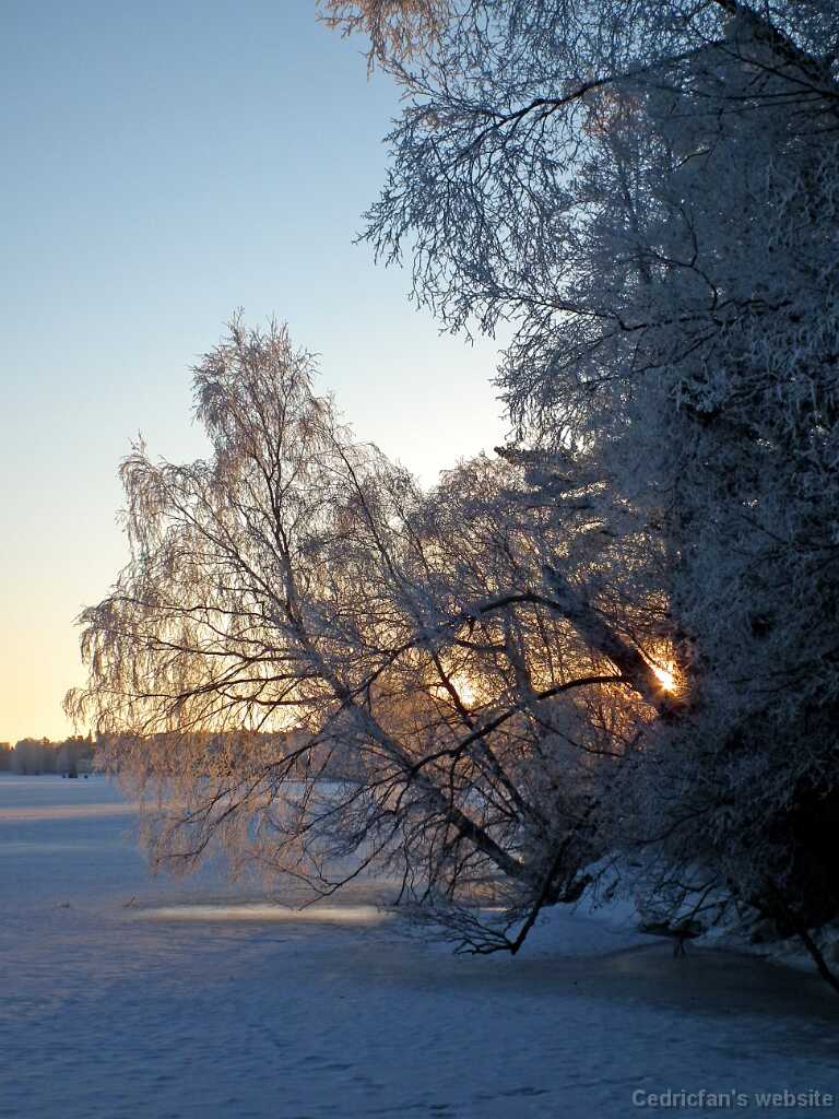 DSCF0463
