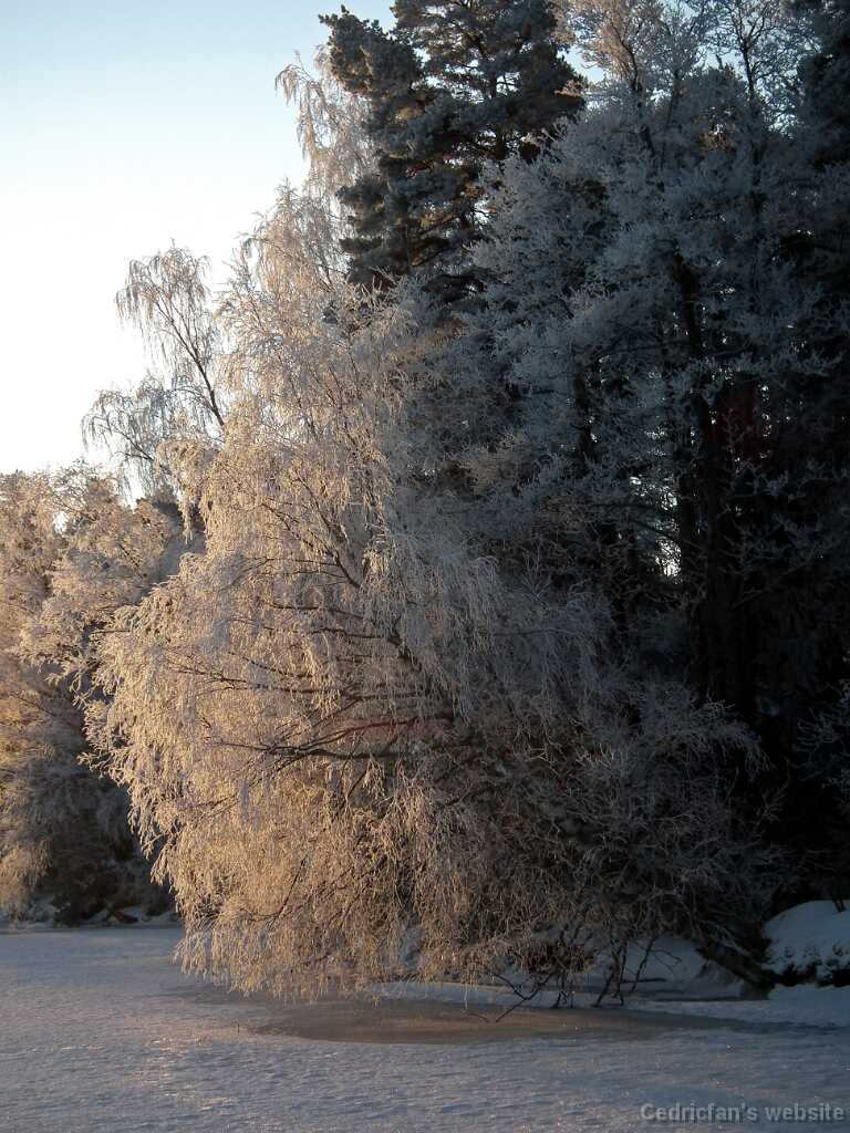 DSCF0467