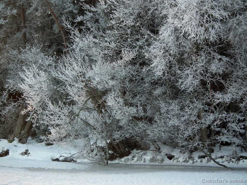 DSCF0468