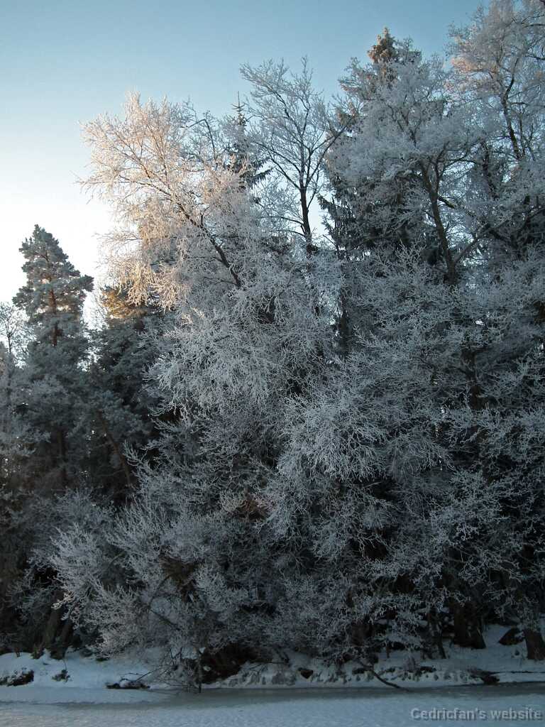 DSCF0469
