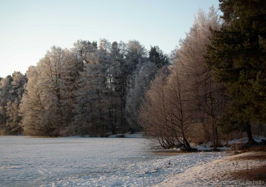 DSCF0471