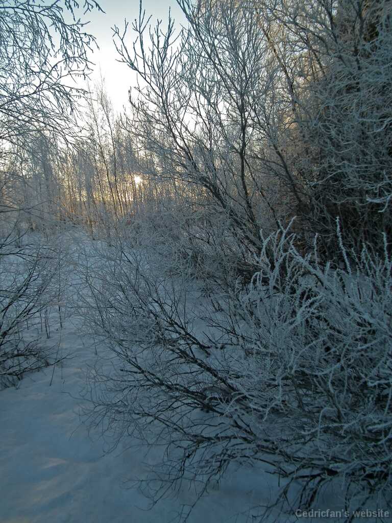 DSCF0485