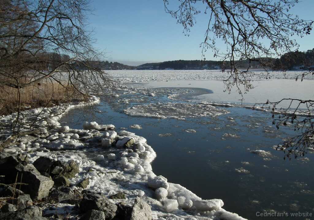 DSCF0578