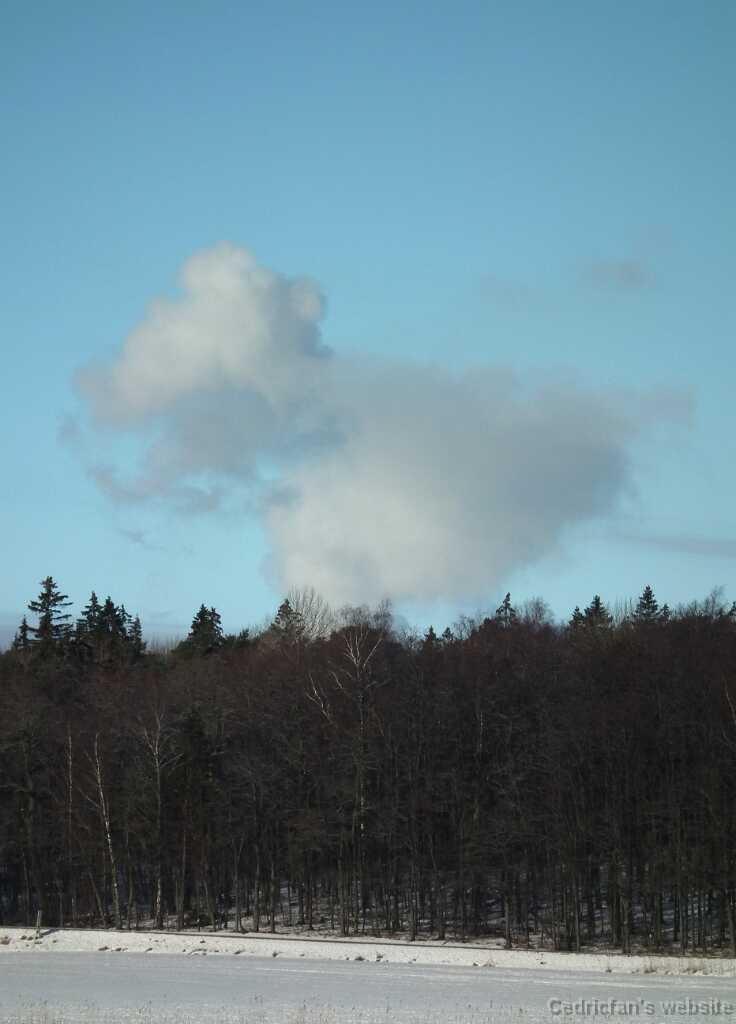 DSCF0590