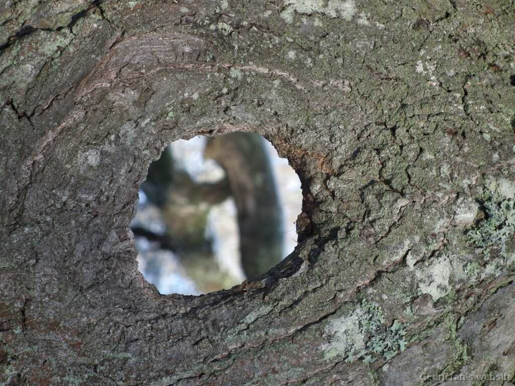 DSCF0593