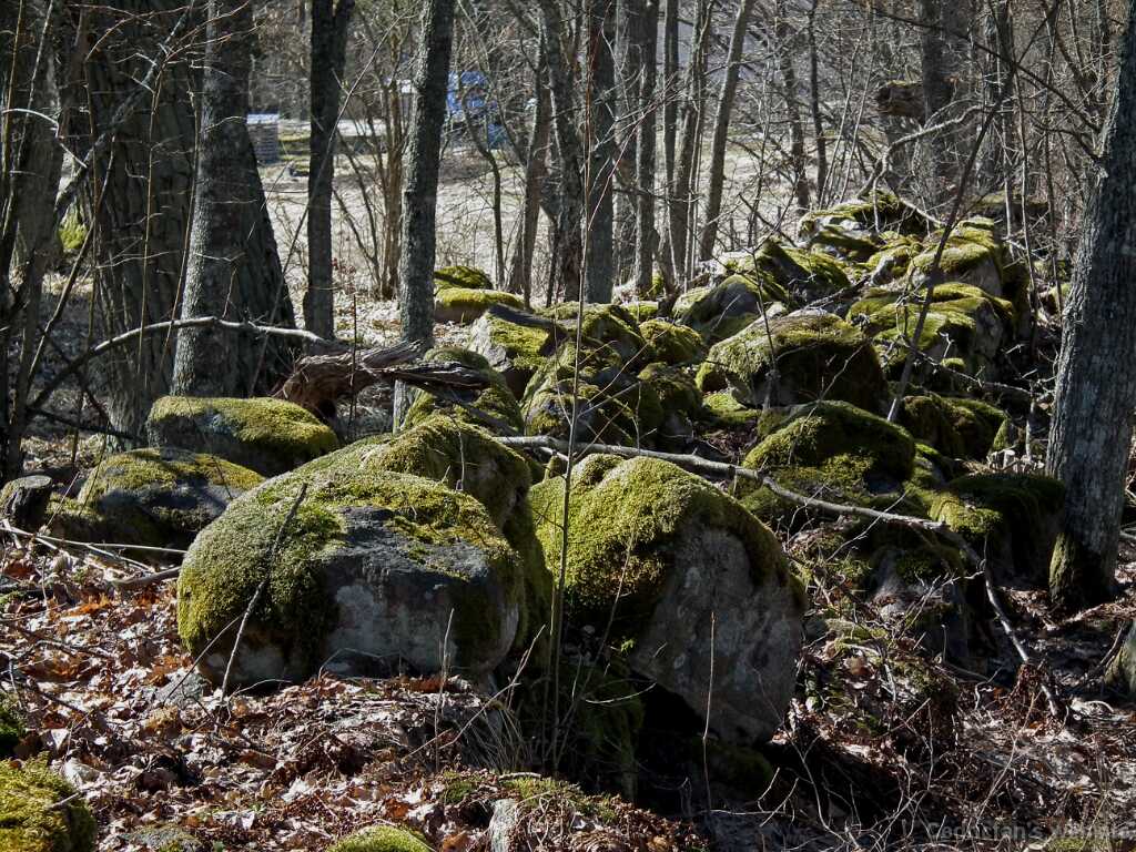 DSCF0790