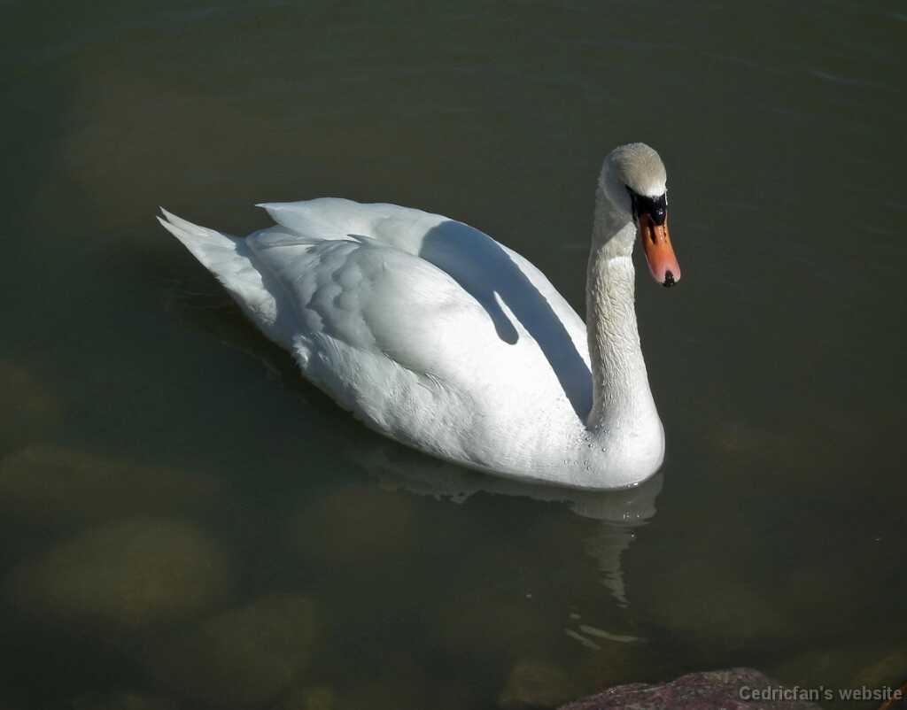 DSCF0798