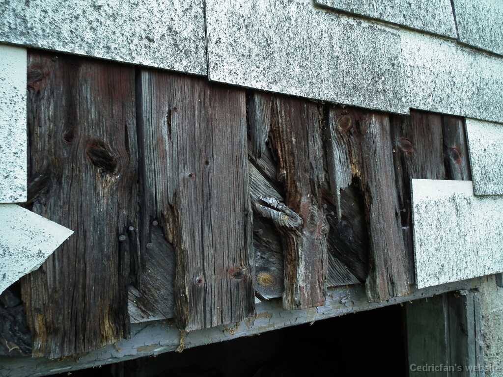 DSCF1246
