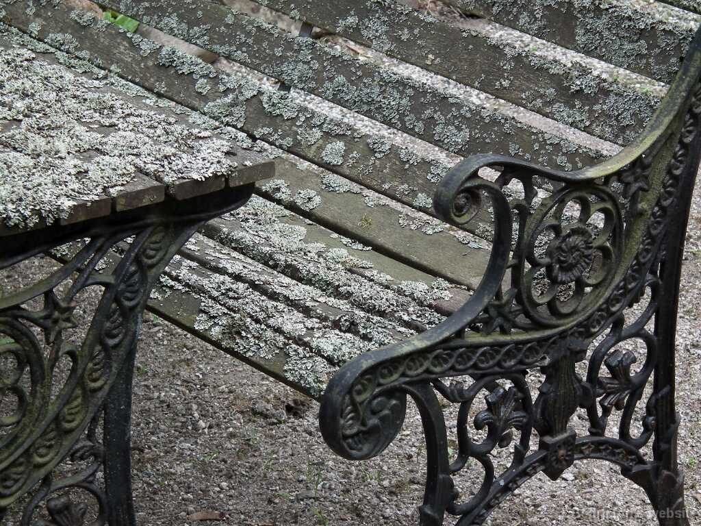 DSCF1138