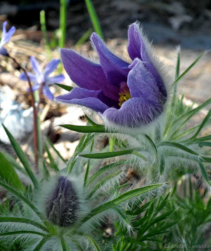 DSCF1088