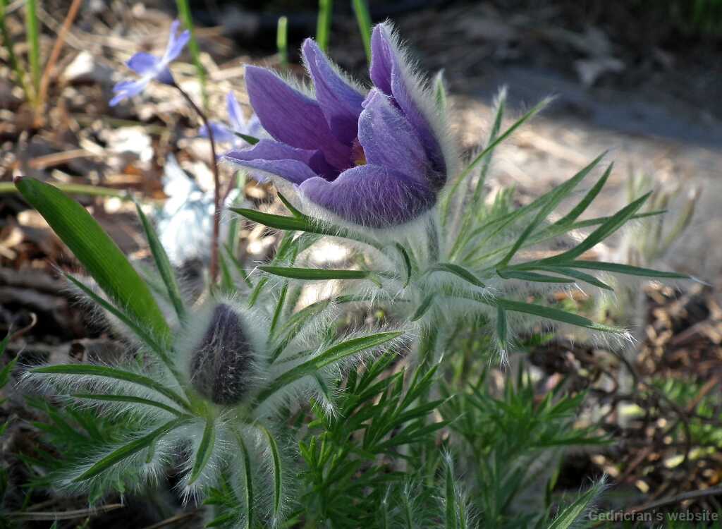 DSCF1090
