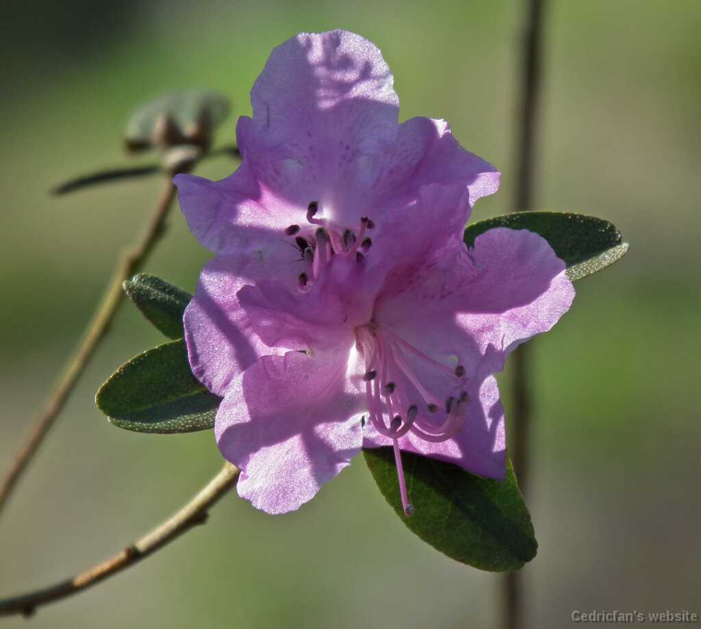 DSCF1101