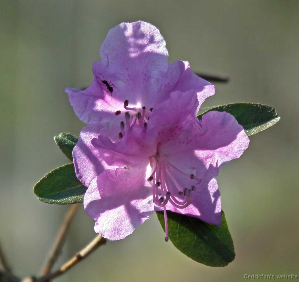DSCF1104
