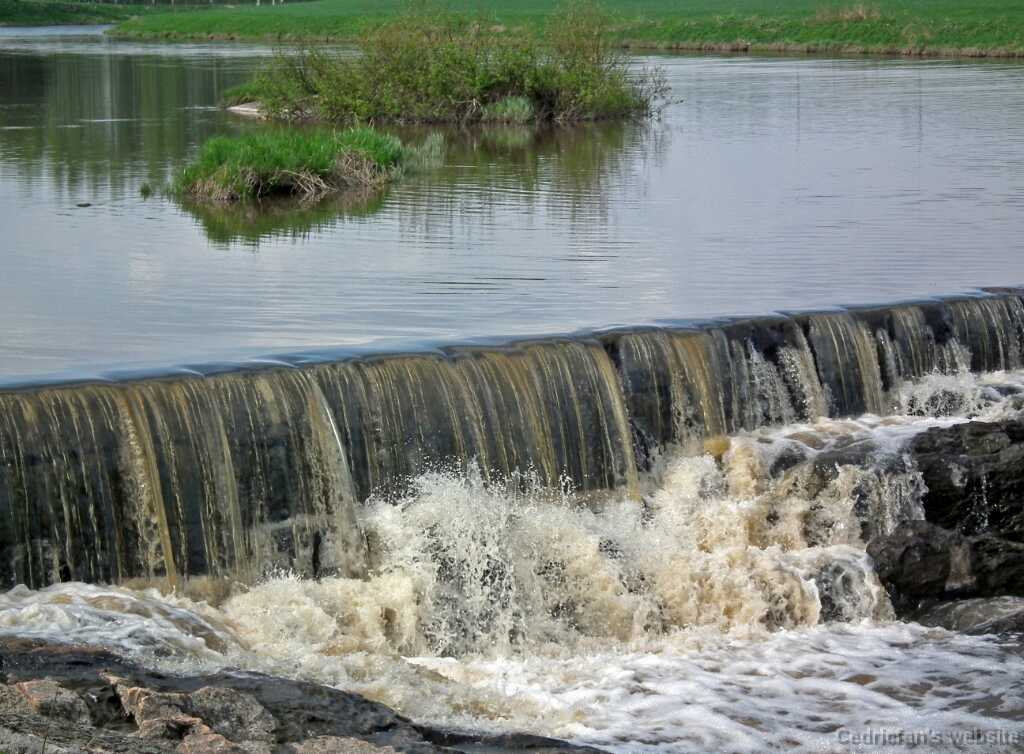 DSCF1141