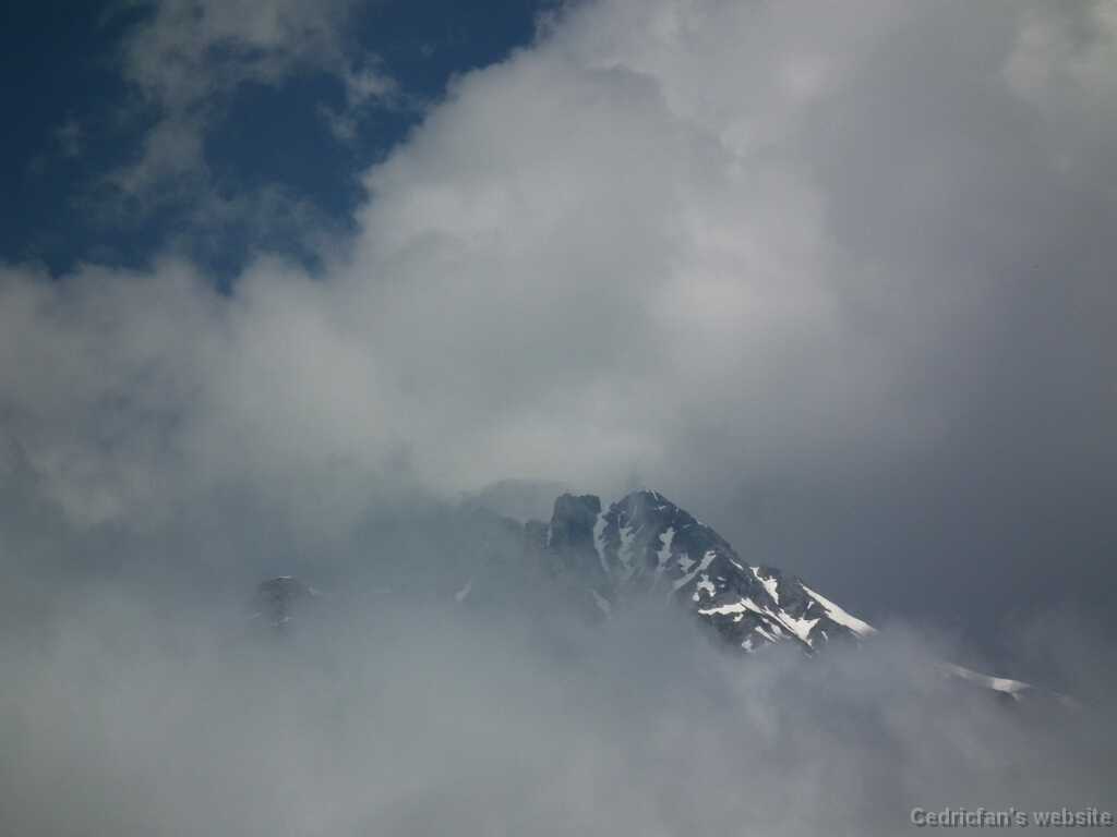 DSCF1424
