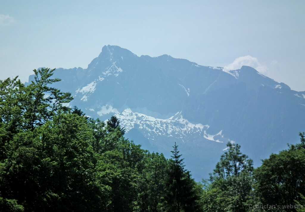 DSCF1658