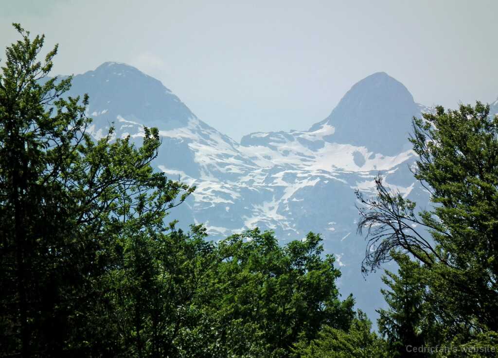 DSCF1659
