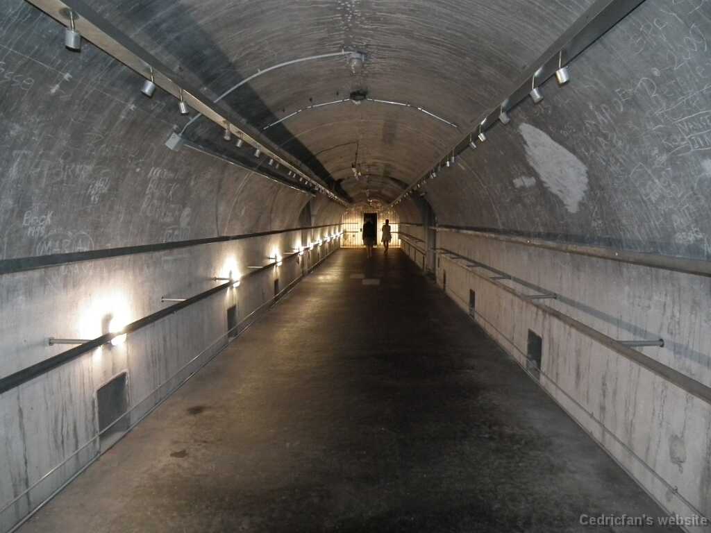 DSCF1667