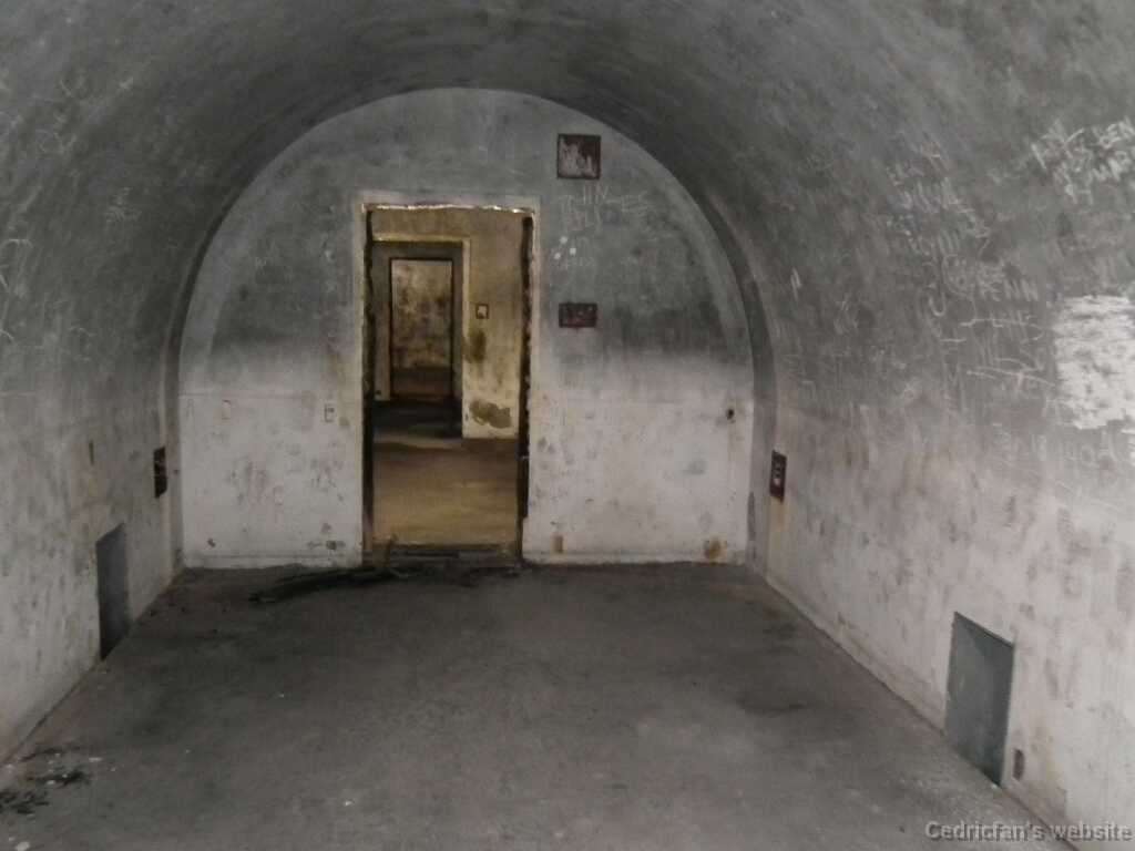 DSCF1668