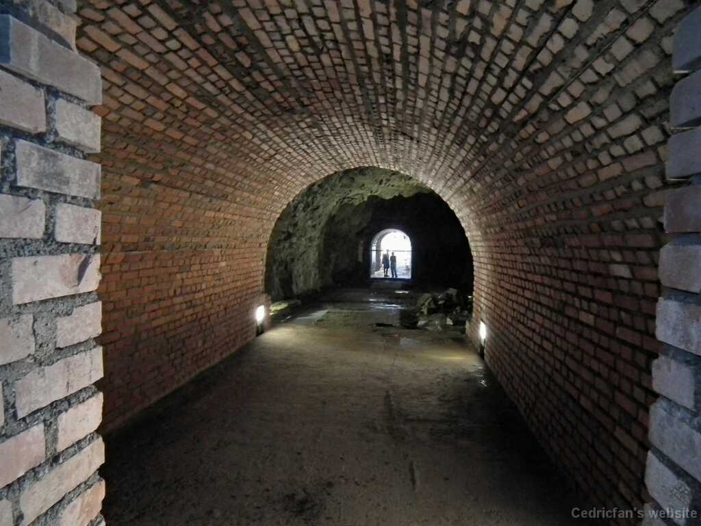 DSCF1669