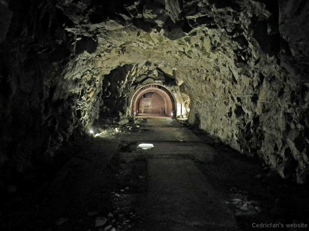 DSCF1679