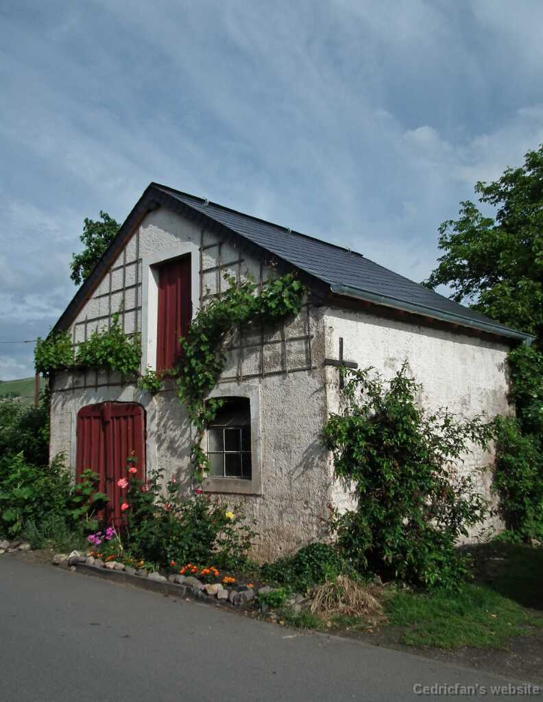 DSCF1300