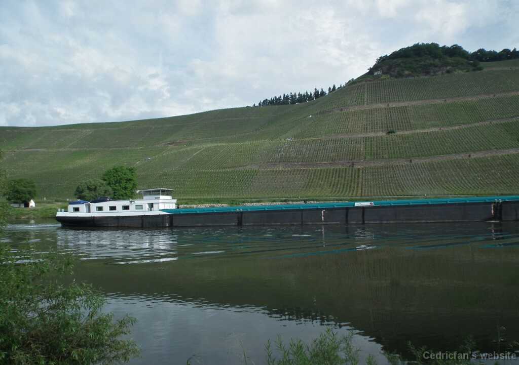 DSCF1311
