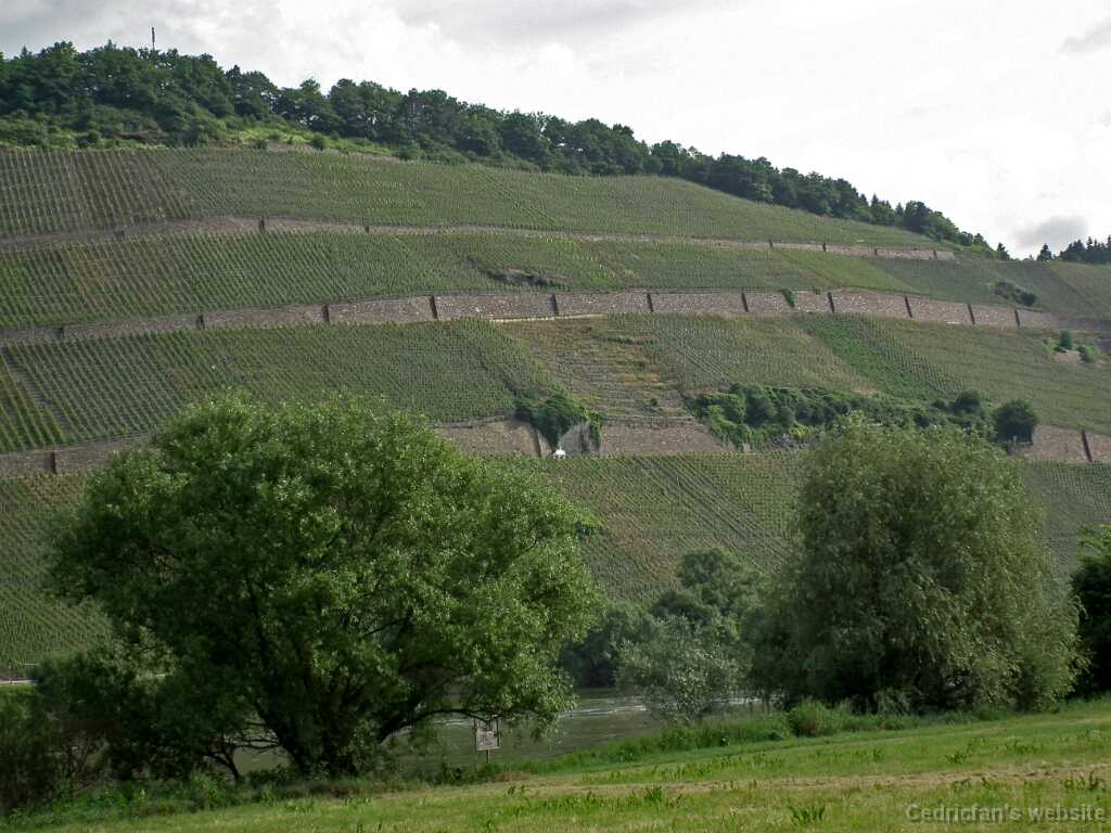 DSCF1312