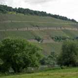 DSCF1312