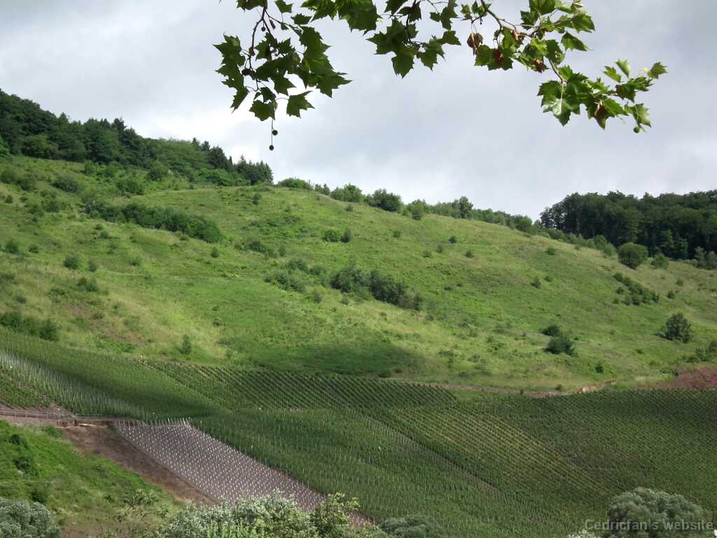 DSCF1977