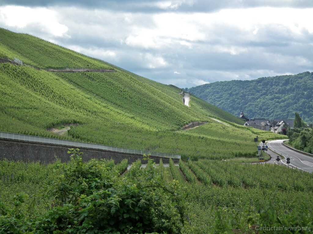 DSCF1993