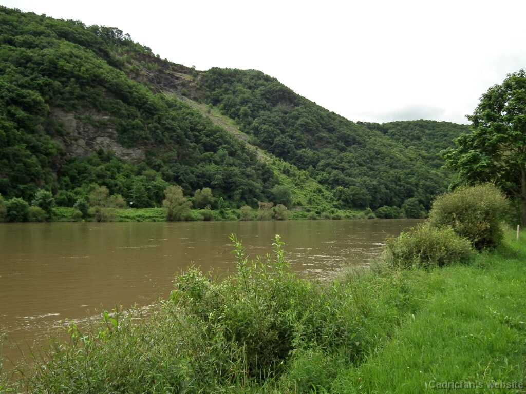 DSCF1994