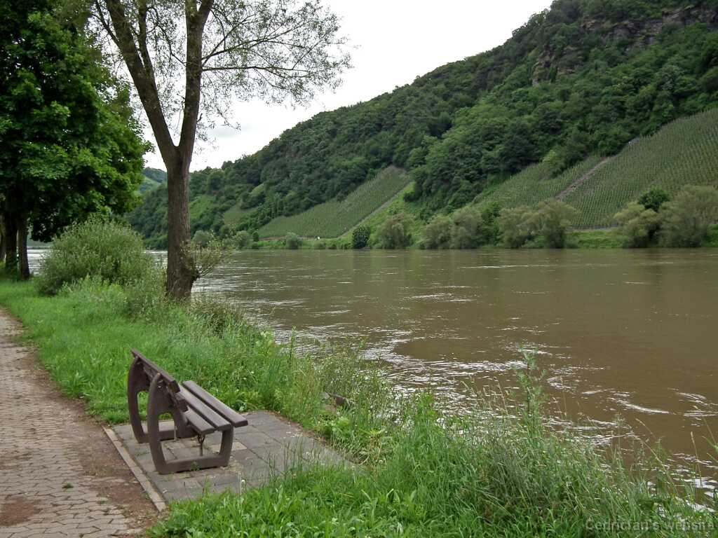 DSCF2001