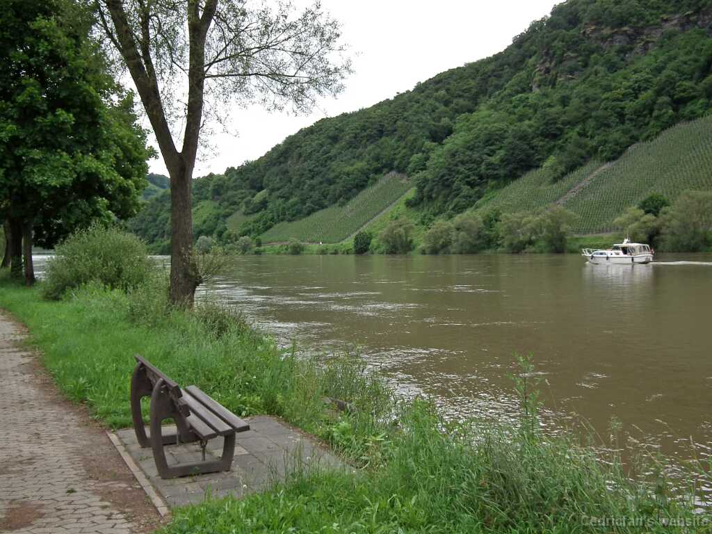 DSCF2002