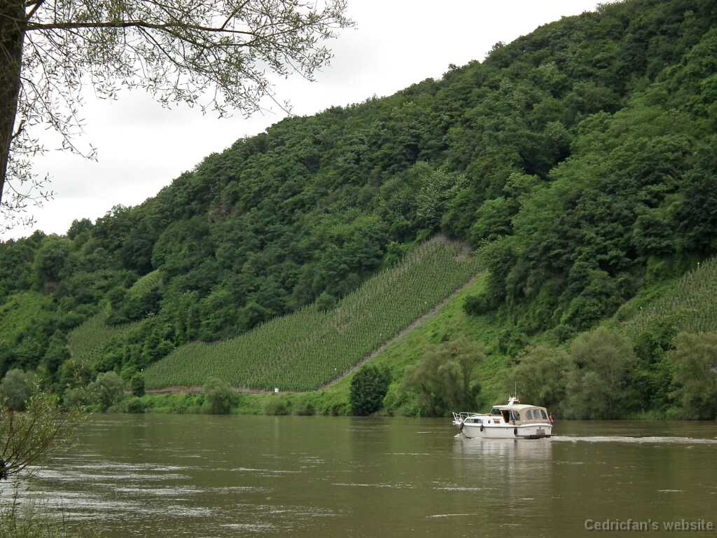 DSCF2003