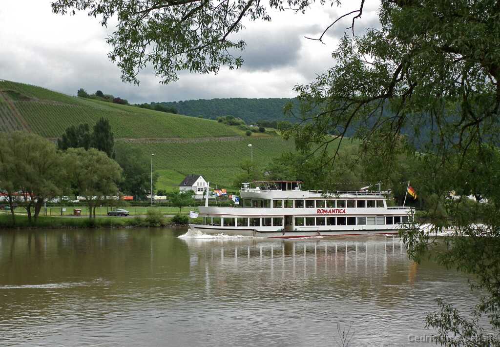 DSCF2004