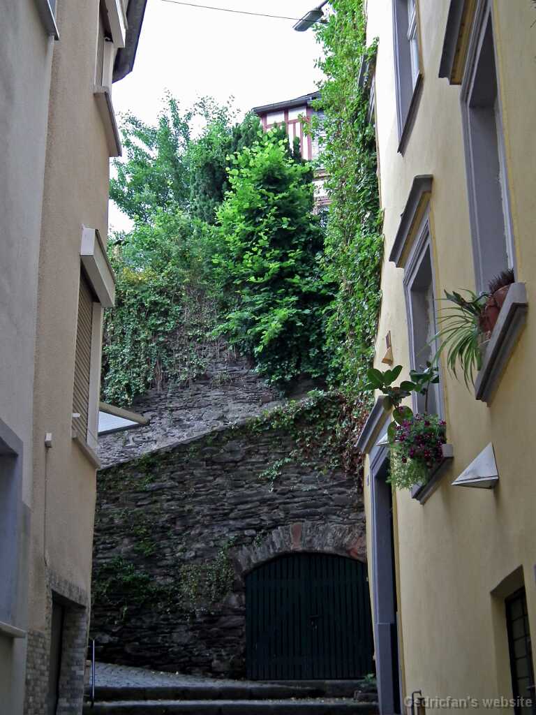 DSCF2020