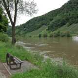 DSCF2002
